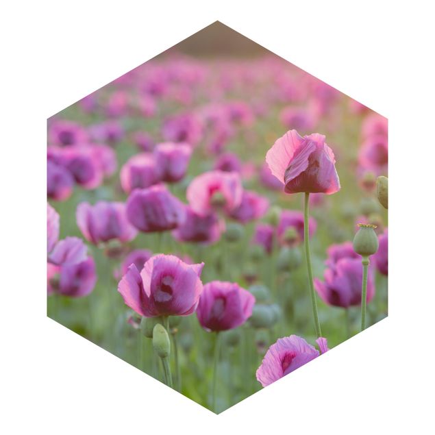 Design Tapete Violette Schlafmohn Blumenwiese im Frühling