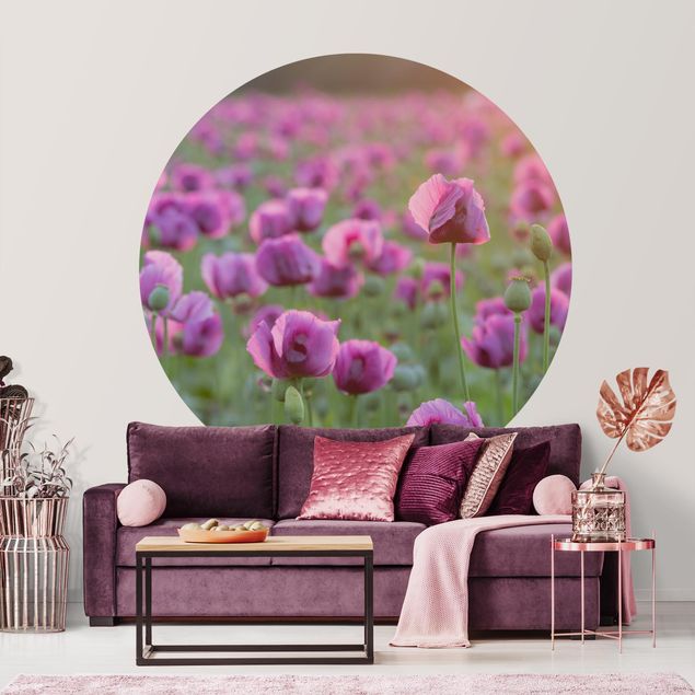 Fototapete Mohnblumen Violette Schlafmohn Blumenwiese im Frühling