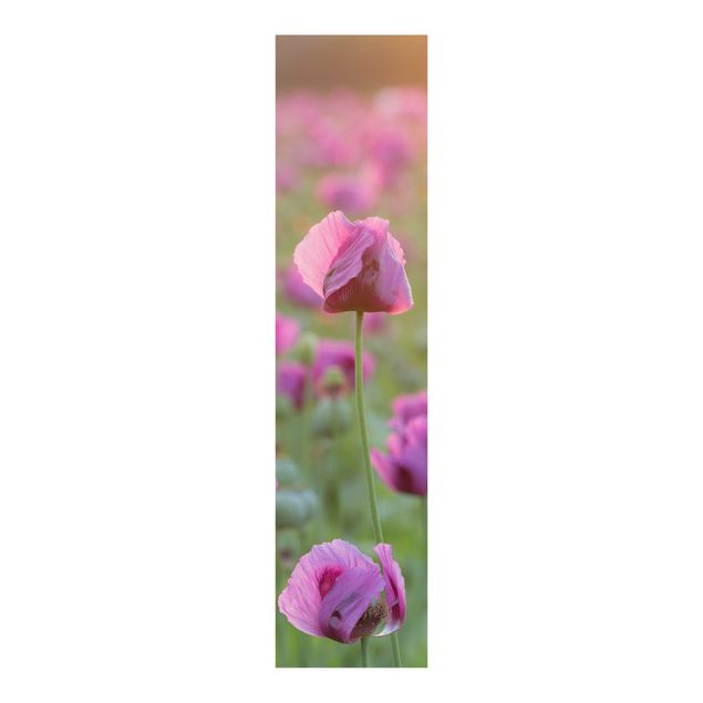 Schiebegardinen Schiene 3-läufig Violette Schlafmohn Blumenwiese im Frühling