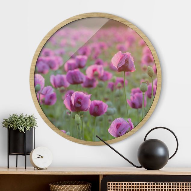 Wandbild rund Violette Schlafmohn Blumenwiese im Frühling