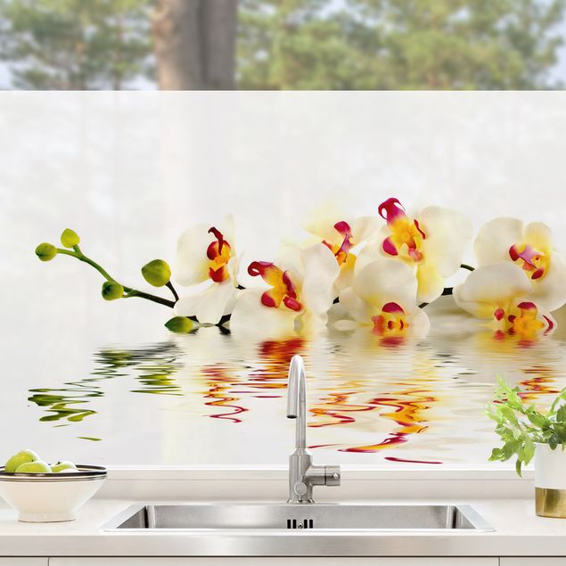 Fensterbilder Blumen Vivid Orchid Waters
