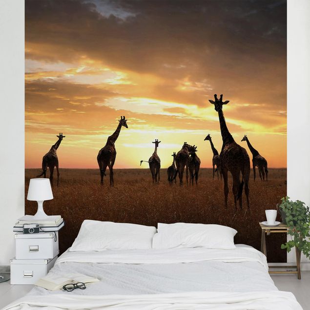 Fototapete Giraffen Familie