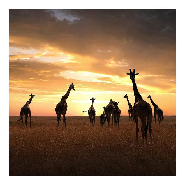 Fototapete Giraffen Familie