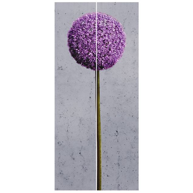 Fototapete Allium Kugel-Blüten