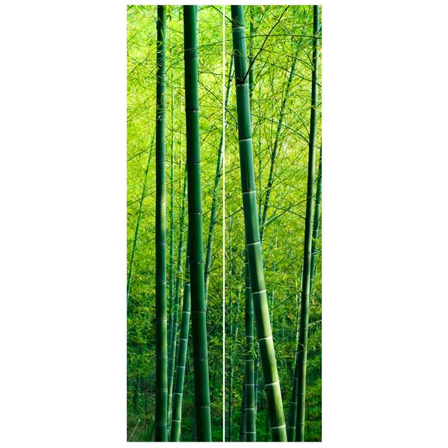 Tapeten modern Bambuswald