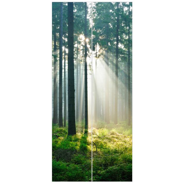 Türtapete - Enlightened Forest