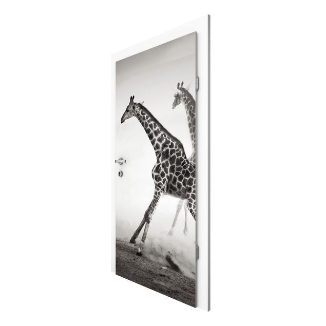 Fototapete modern Giraffenjagd