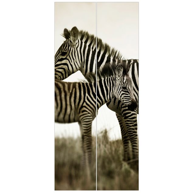 Türtapete - Zebrapaar