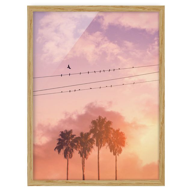 Kunstdruck Bilder mit Rahmen Vögel auf der Stromleitung