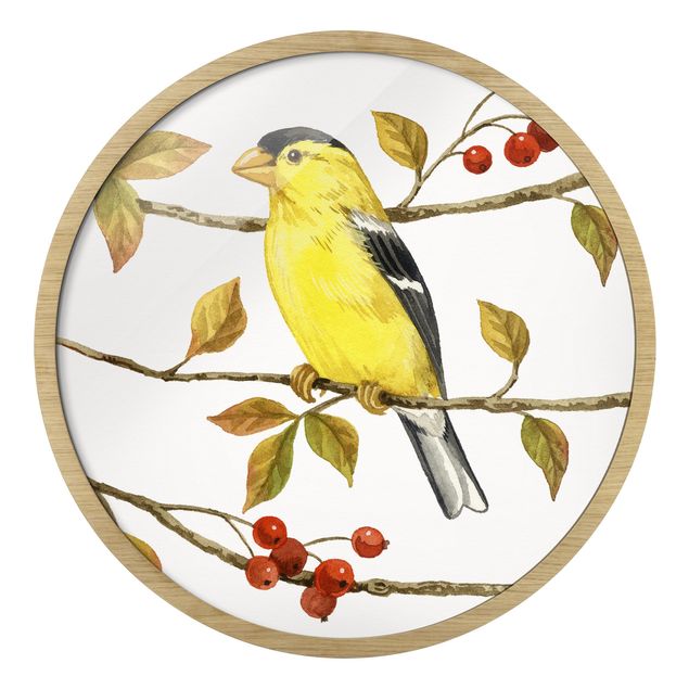 Wandbilder Vögel und Beeren - Goldzeisig