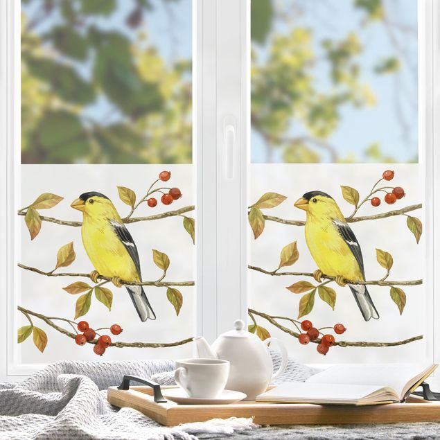 Fensterfolie Farbig Vögel und Beeren - Goldzeisig