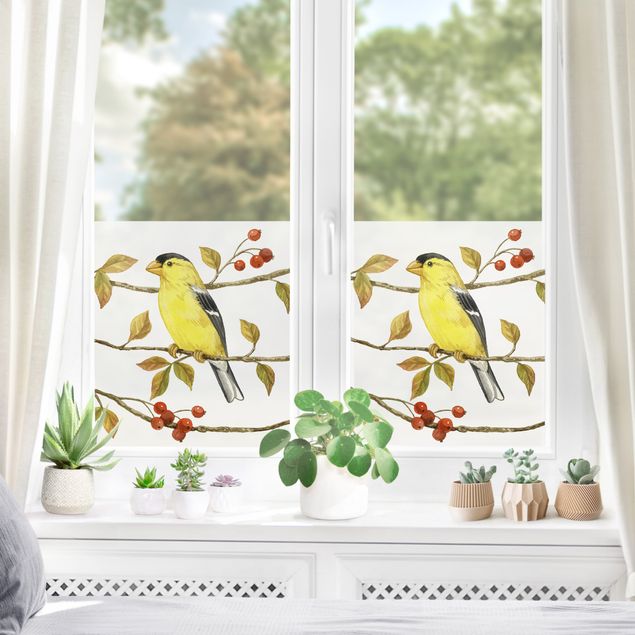 Fenstertattoo weiß Vögel und Beeren - Goldzeisig