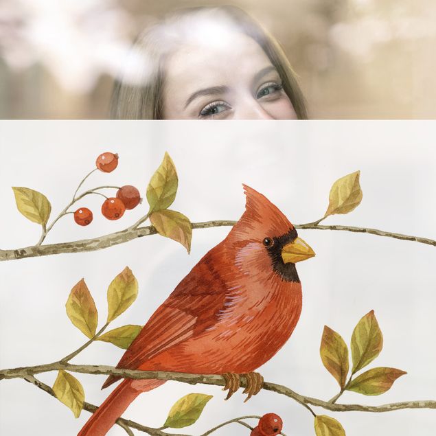Fensterbilder Weiß Vögel und Beeren - Rotkardinal