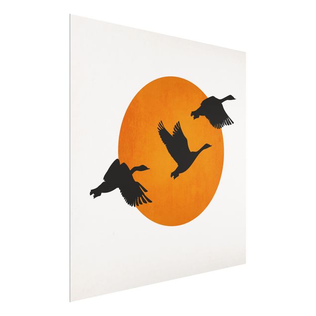 Wandbilder Tiere Vögel vor gelber Sonne