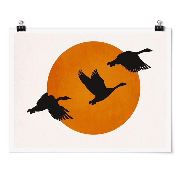 Tiere Poster Vögel vor gelber Sonne
