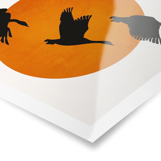 Poster bestellen Vögel vor gelber Sonne