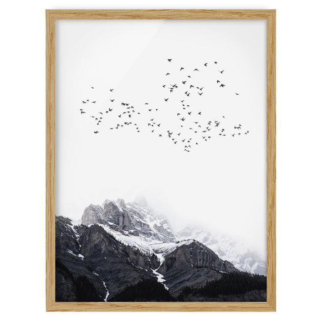 Bilder mit Rahmen Vogelschwarm vor Bergen Schwarz Weiß