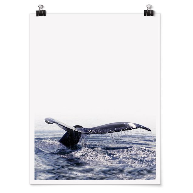 Poster kaufen Wal Gesang auf Island