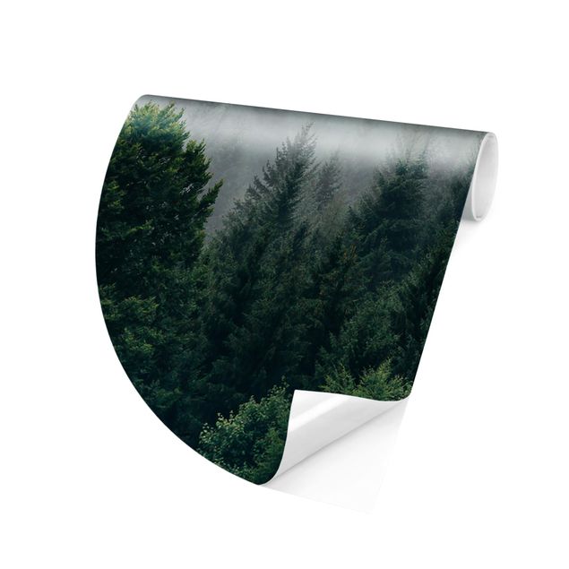 Fototapete modern Wald im Nebel Dämmerung