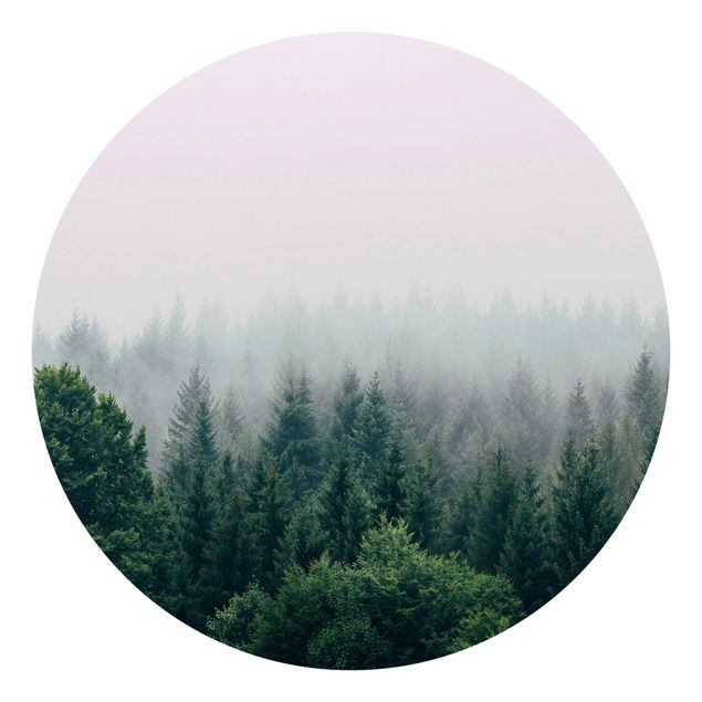 Tapete grün Wald im Nebel Dämmerung