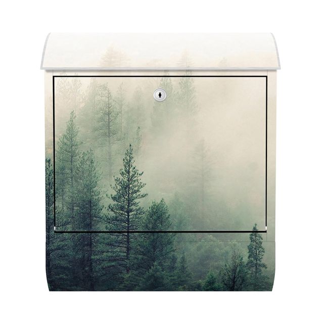Briefkasten - Wald im Nebel Erwachen