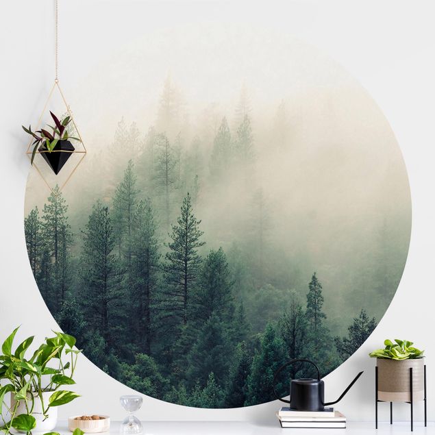 Fototapete rund Wald im Nebel Erwachen