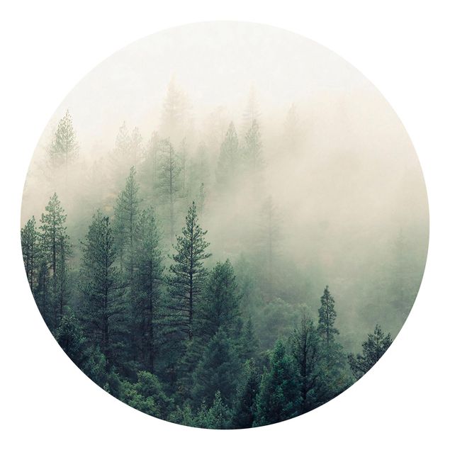 Fototapete grün Wald im Nebel Erwachen