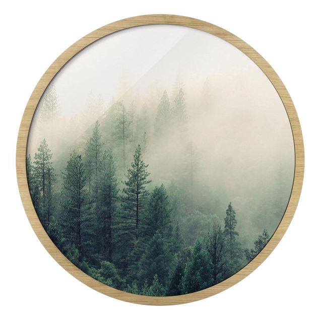 Gerahmte Bilder Wald im Nebel Erwachen