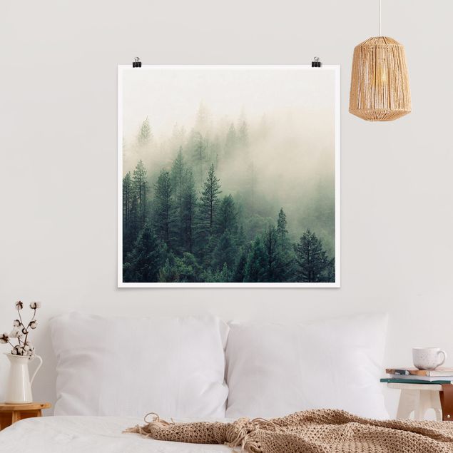 Natur Poster Wald im Nebel Erwachen