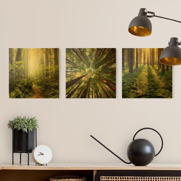 Wandbilder Wohnzimmer modern Wald Trio