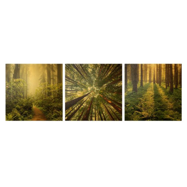 Wandbilder Wald Trio