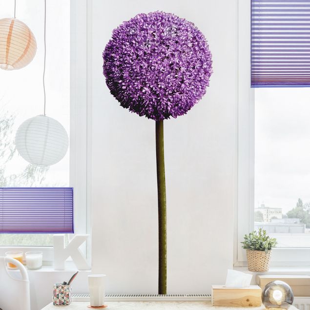 Wandtattoo Floral Allium Kugel-Blüten 1er Set