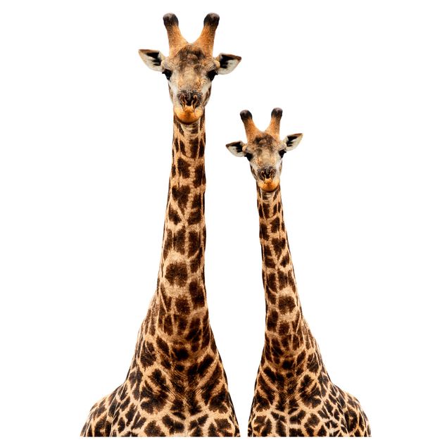 Wandaufkleber Portrait zweier Giraffen