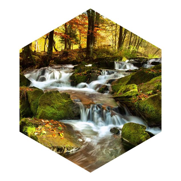 Wandtapete Design Wasserfall herbstlicher Wald