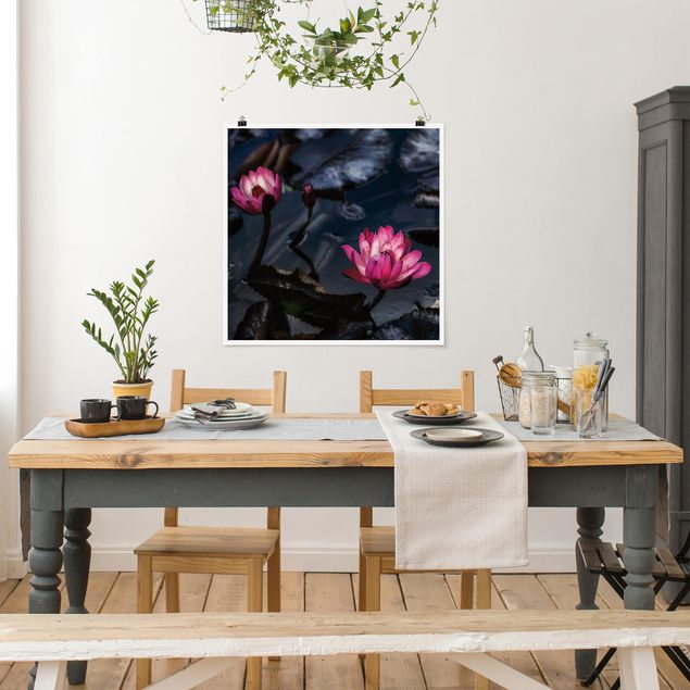 Bilder für die Wand Wasserlilien
