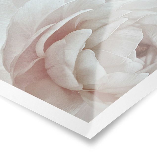 Poster - Weiße Blüte im Blütenmeer - Querformat 4:3