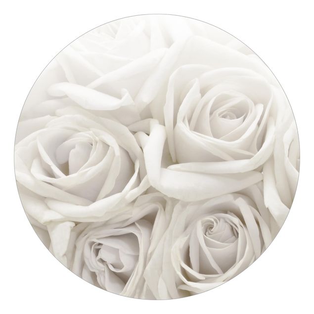 Tapete Blumen Weiße Rosen