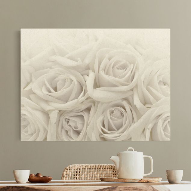 Wandbilder Rosen Weiße Rosen