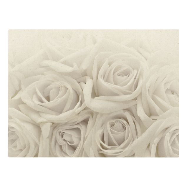 Bilder für die Wand Weiße Rosen