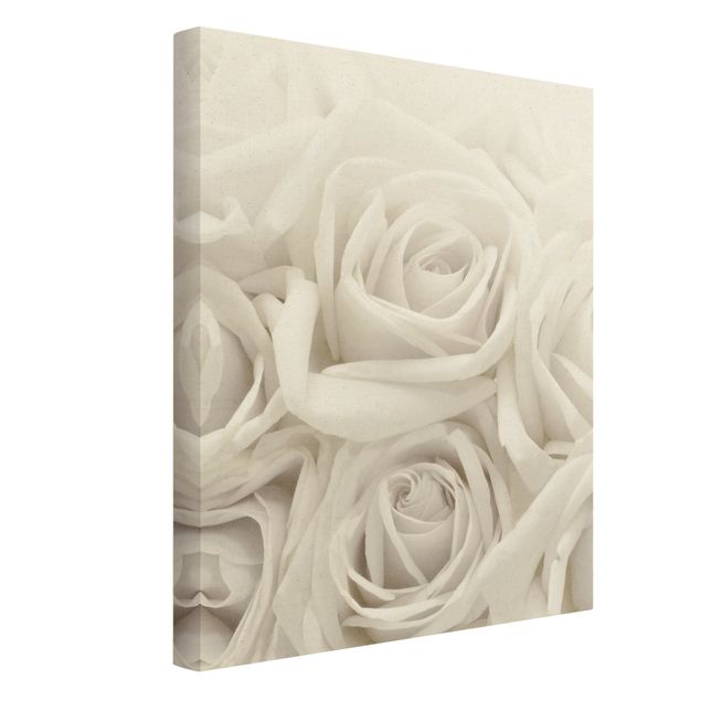 Schöne Leinwandbilder Weiße Rosen