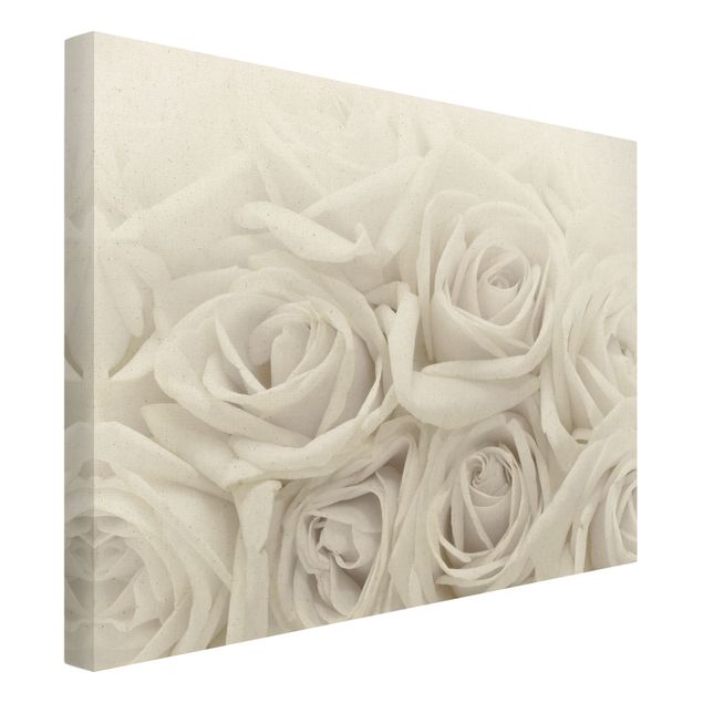 Schöne Leinwandbilder Weiße Rosen