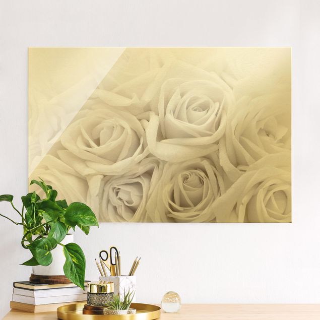 Glasbilder Rose Weiße Rosen