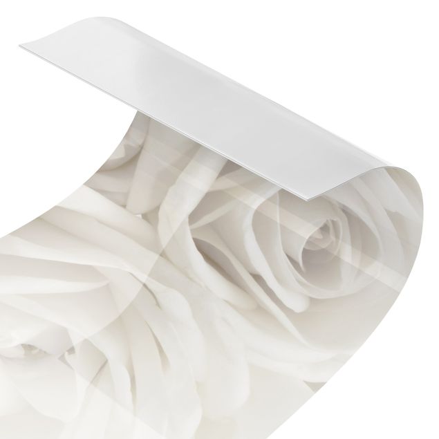 Küchenspritzschutz Weiße Rosen
