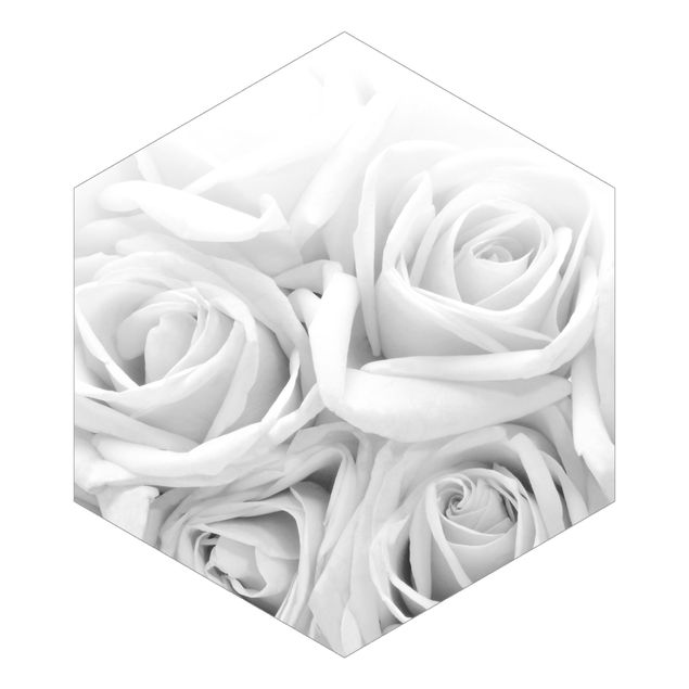 Tapeten weiß Weiße Rosen Schwarz-Weiß