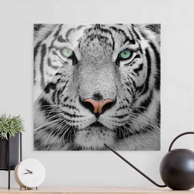 Glasbilder XXL Weißer Tiger