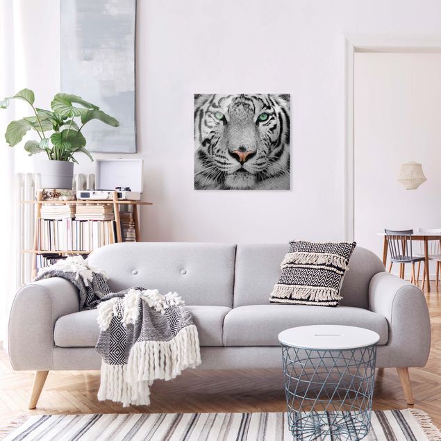 Glasbild Schwarz-Weiß Weißer Tiger