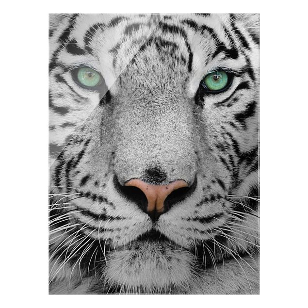 Glasbilder Grün Weißer Tiger