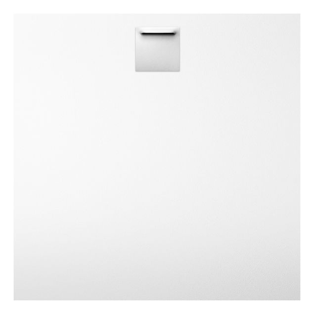 Forex Fine Art Print - Weißes Kalb - Quadrat 1:1