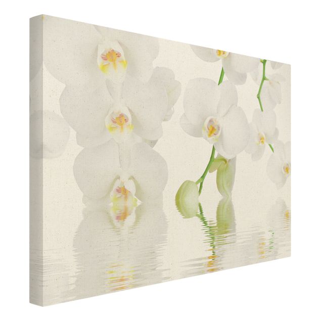 Bilder auf Leinwand Wellness Orchidee - Weiße Orchidee