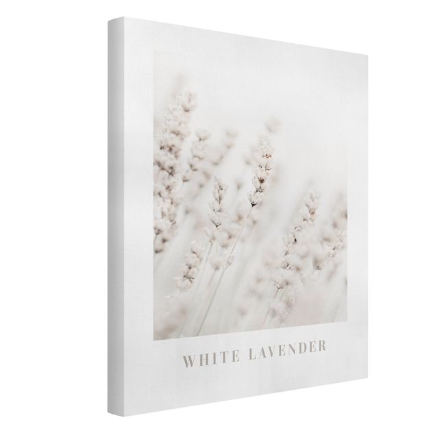 Schöne Wandbilder White Lavender